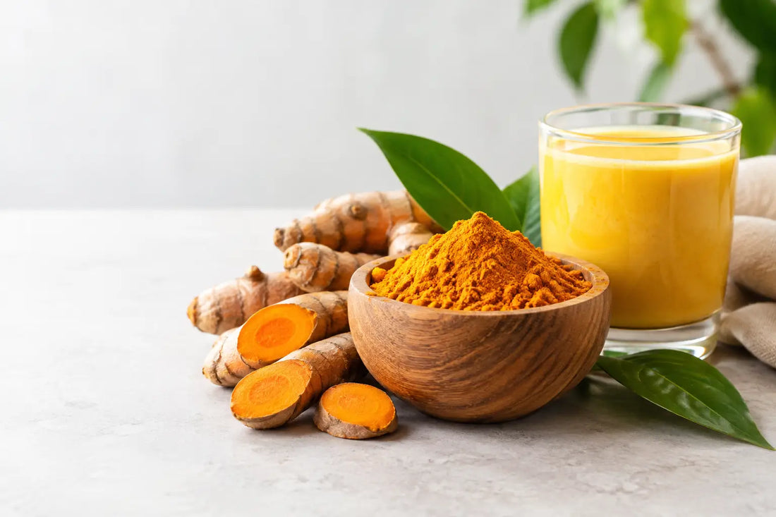 Turmeric Wellness Benefits for Daily Vitality